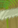 Image:Buch_14.png