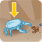 Fichier:Parier_sur_le_crabe_bleu_clair.gif