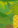 Image:Maitrise_de_la_nature_15.png