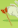Image:apt_chasse_25.png
