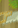 Image:Buch_13.png