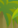 Image:Construction_14.png
