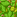 Image:degageralcove_cabane.png
