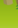 Image:Scout_13.png