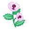 Image:Guimauve.gif