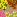Image:plante_cabane.png