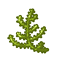 Image:59480238.gif