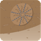 Image:Sphere.gif