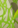 Image:Construction_20.png