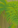 Image:appel8.png