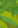 Image:Maitrise_de_la_nature_12.png