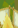Image:Construction_29.png