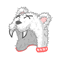 Image:Capucheours.gif