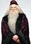 Harry-Potter-Lexicon