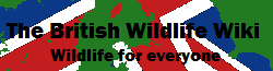 British Wildlife Wiki