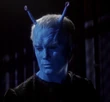Shran, 2151.jpg