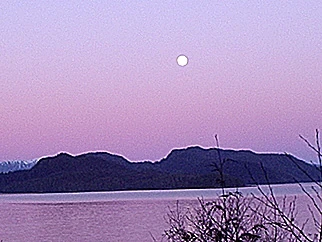 Purpleblue.jpg