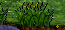 C3grass ingame.png
