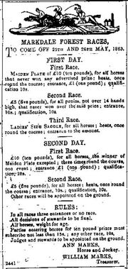 Ann Lamb (1816-1894) Add 1863-5-23