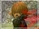 Ninsmall.jpg