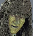 Passel argente.jpg
