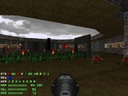 Plutonia-map08