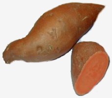 Yam