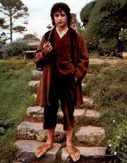 Frodo Baggins