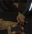 GIZKA.jpg
