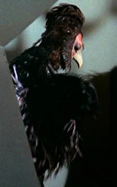 Humanoid bird