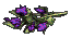 Pokeweed berries.png