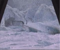 Argala Habitat.jpg