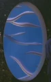 Xyrillian fish.jpg