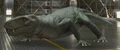 Eryops.jpg