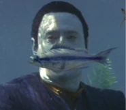 Baku fish