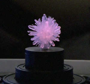 Microbrain.jpg
