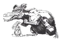 Karran.jpg