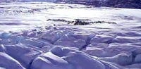 RuraPentheKolonie.jpg