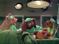 Vetshospital