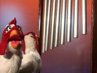 Chickens2.jpg