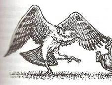PandionPiketalon.jpg