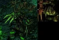 PoisonTreant.jpg