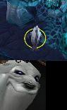 JimmytheSeal