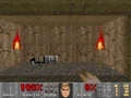 D229cgun.png