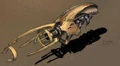 EliteBeamWeapon.jpg