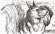 Ruro.gif