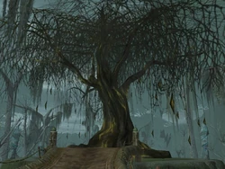 Great Tree.jpg