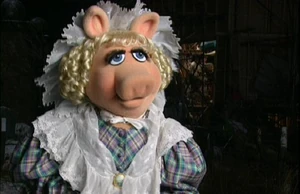 PiggyMCC.JPG