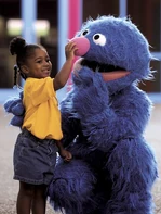 Sesameplace6