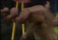 Thumbnail for version as of 22:23, February 5, 2006